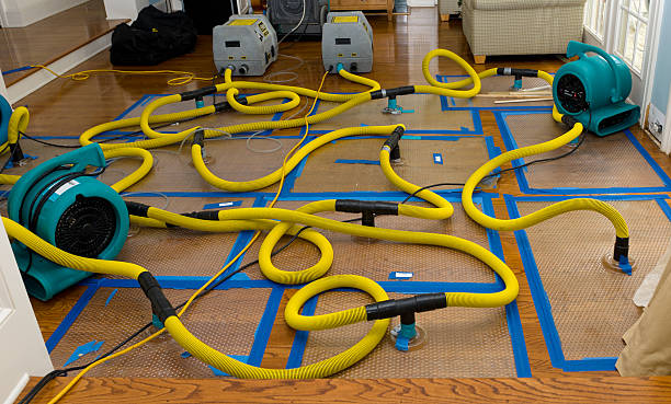 Professional Crawl Space Water Removal technician working in Carmichael, CA
